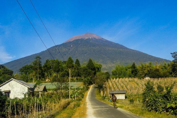 90EC708D-F48C-477D-81CA-F7F80F9D8CEE