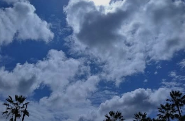 Oplus_131072